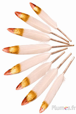 Gans goudbronzen punt - 10-15 cm - rozebeige